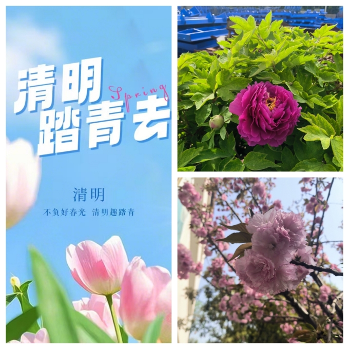 踏春的季節(jié)，美麗的偉志模板